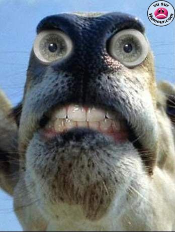 Qui c ???????????????????????????????????
